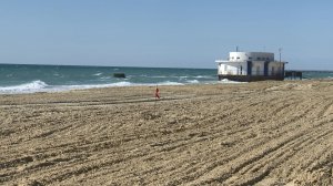 Эксперимент по отсыпке песка на тестовом участке пляжа в Витязево признан эффективным