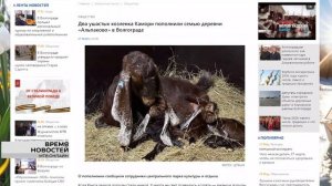 Погода в апреле, кто сможет получить до 200 000 руб.на развитие бизнеса и что нельзя делать 28 марта