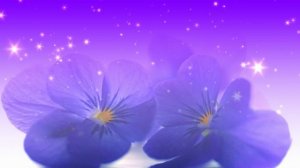 Футаж. Цветочный фон 255