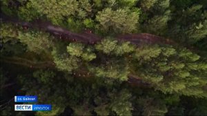 На берегу Байкала организовали раздельный сбор мусора и отправляют его на переработку в Иркутск