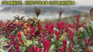 СТАМБУЛ КОРОТКАЯ ОСТАНОВКА