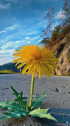 “Борьба” Катрен от 27.11.16.