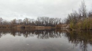 Осень в волжских протоках