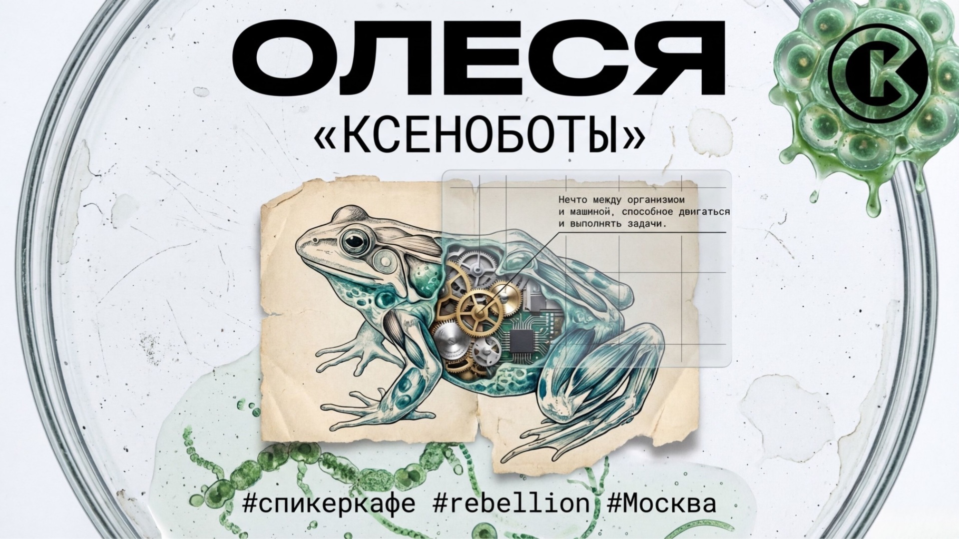 Олеся — Тема: Ксеноботы #Спикеркафе
