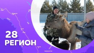 Регион 28 Грибское -№10