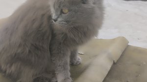 27-03-2026ьтсьмб