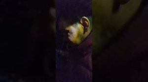 Помойка лучше человеческого жилья ответили Алекты