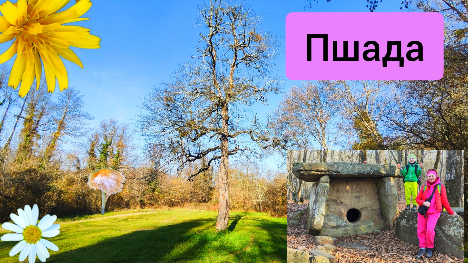 #166 Пшада и аномальные явления возле Дольменов #леснаяцаревна #пойдемсомной #sumkiberry