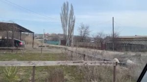 тройняшкин ПАПА - провожает меня ХОЗЯИН нашей УЛИЦЫ с утра пораньше и какие купил цветы