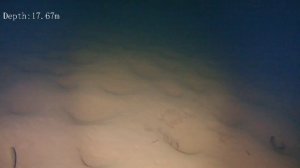 Между Северным артеком и Юбилейным.mp4