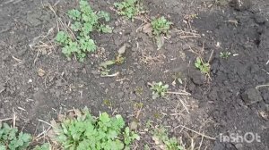 Планы поменялись