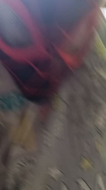 вид человека спидрана