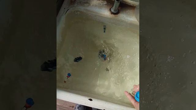 ▇◤▔▔▔▔▔▔▔◥▇
▇▏◥▇◣┊◢▇◤▕▇
▇▏▃▆▅▎▅▆▃▕▇
▇▏╱▔▕▎▔▔╲▕▇
▇◣◣▃▅▎▅▃◢◢▇
▇▇◣◥▅▅▅◤◢▇▇
▇▇▇◣╲▇╱◢▇▇▇