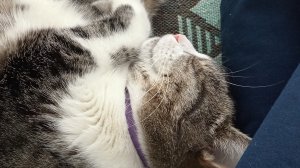 моя жизнь не хороша а может хороша