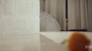 Ам ням ритп пуп начало серия 1