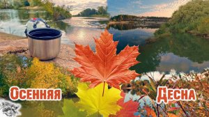 Осенняя прогулка на SUP по Десне. Брянск 2025