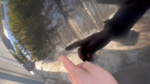 Капот тойота 50 камри 20504