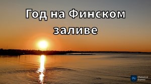 Год на Финском заливе
