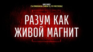 #2 Разум как живой магнит [Ты привлекаешь в жизнь то, что чувствуешь]