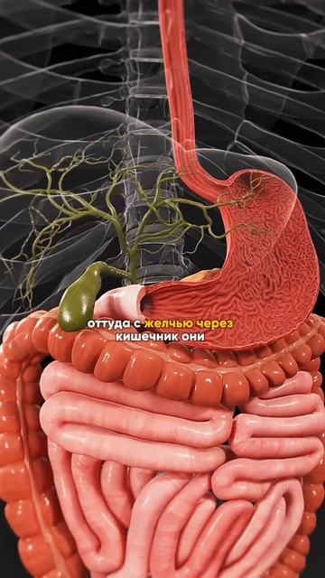 Чувствуешь себя плохо при хороших показателях? Хочешь рекомендации? Ссылка в шапке профиля