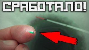 ОНА ЛОВИТ ВЕСНОЙ! Опустил в ЛУНКУ яркую каплю и ПОШЛО! Рыбалка 2026