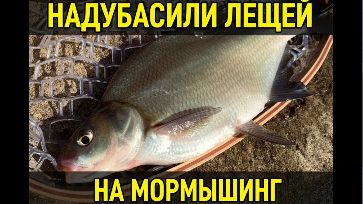 МОРМЫШИНГ В МАРТЕ — ТЕПЛЫЙ СБРОС РАЗДАЕТ ЛЕЩЕЙ