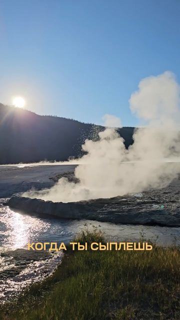 Бизнес на вулкане почему масло ANCOR не доехало до Тигров. Игорь Макаров