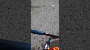 ежу по городу