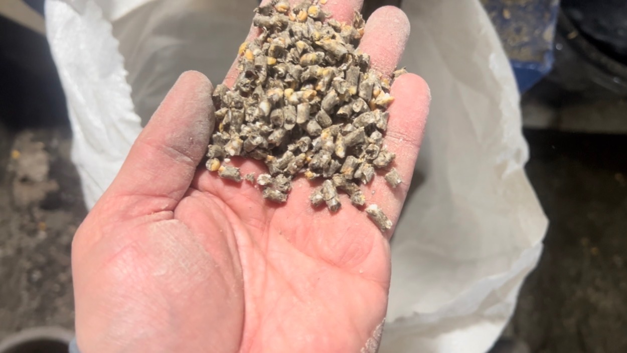 Качественный Гранулированный Комбикорм Для Свиней 4 мм Откорм от 120 дней до забоя рецепт и процесс