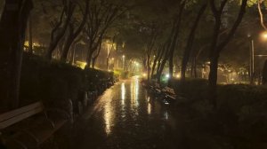 Уютный ночной дождь для глубокого и спокойного сна 🌧️ Белый шум дождя