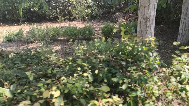 Один из дней города Евпатории | 29 июля 2021 год | Крым | ХАН БАТОН XAH 6ATOH | VID_20210729_162238