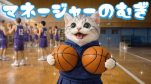 Офисный котик Муги  Репортаж из жизни Муги, который стал менеджером баскетбольной команды 🐱🏀