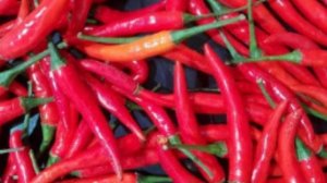 Диета с чили