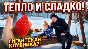 Приехали на дачу и без воды!