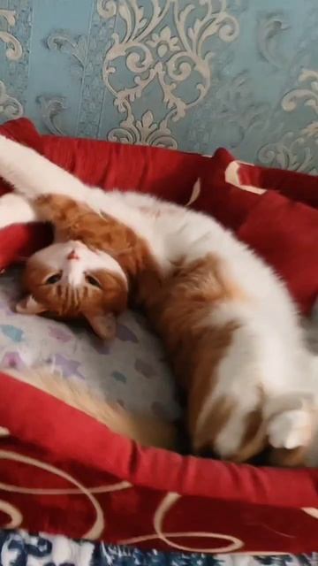 Прекрасное доброе утро