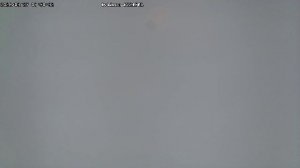 LIVE: channel43489494