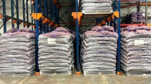 «Тепличный» готовится к посевной кампании