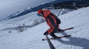 Роза26 Антон,Стахейко