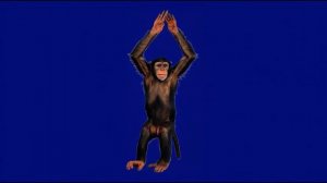 Обезьянка о 28_encoded