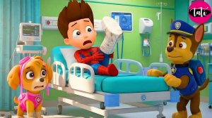 Щенячий патруль и Маршалл. Залипательное видео. Мультфильм для детей и малышей. Анимация 420