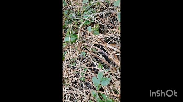 Почти закончила ремонт в ванной