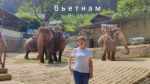 Вьетнам, встреча со слонами