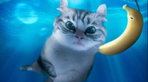 сегодня то что было вчера полное видео