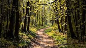 Вдохновение поэта