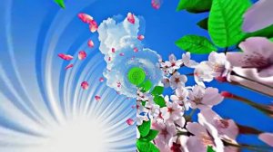 Весна! Полёт цветочных лепестков 8! Киностудия Мудрого Кота Тимофея!