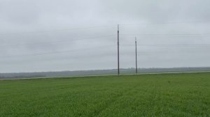 Еланчик 27.03.2026