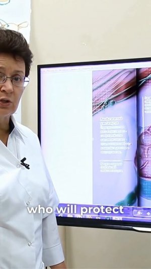 Основы нашего иммунитета — понимание роли лимфатических узлов и клеточной защиты