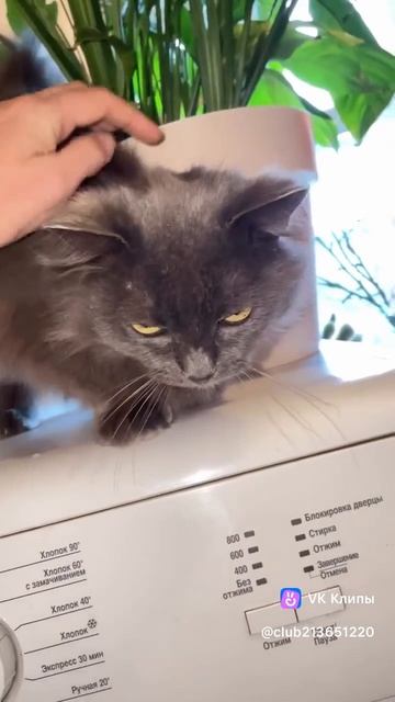 Вы правильно делаете?