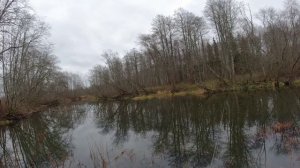 01.11.25 Речка 2