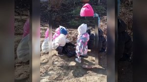 В группе "Здоровячки" уборка на участке👍
Воспитатели : Резвушкина Е. Л. Кушнарева В. Г.